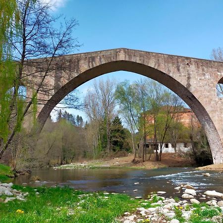 Can Planas Soleado, Amplio Con Vistas Y Parking Sant Joan de les Abadesses Dış mekan fotoğraf